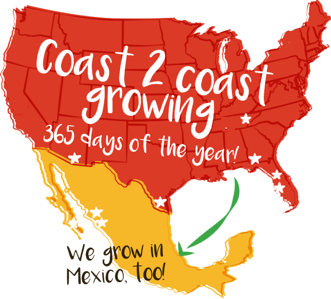 Coast 2 coast growing 365 days of the year! We grow in Mexico, too!